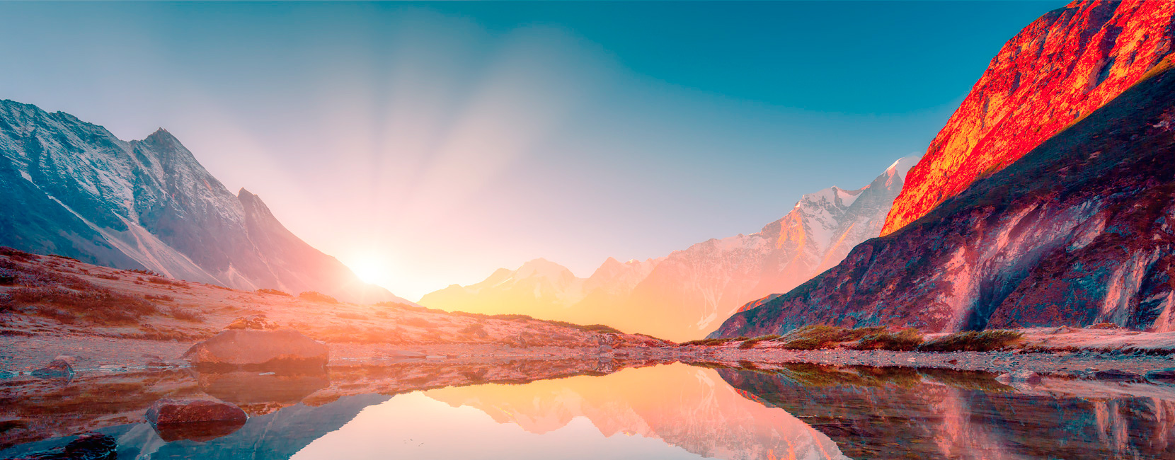 918������(�й���)�ٷ���վ