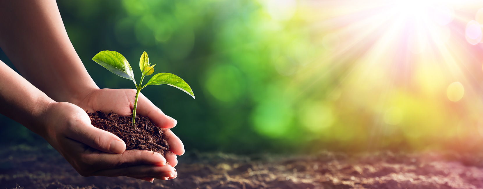 918������(�й���)�ٷ���վ